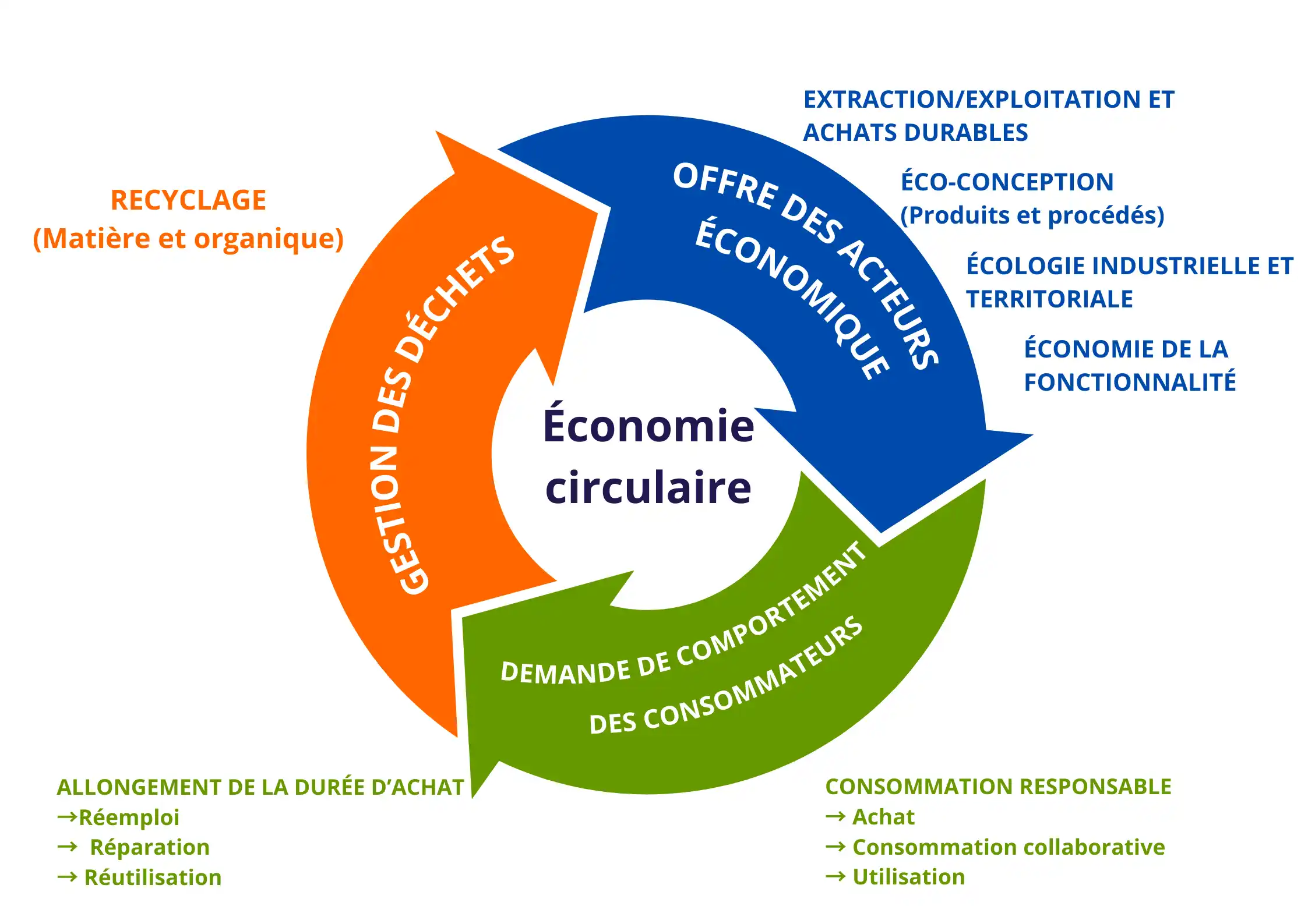 Cycle de l’économie circulaire illustrant les interactions entre producteurs, consommateurs et gestion des déchets
